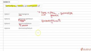Seminiferous tubules are composed of [upl. by Odranreb53]
