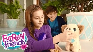 FurReal Friends Australia  quotPax My Poopin Pupquot TV Commercial [upl. by Arbed]