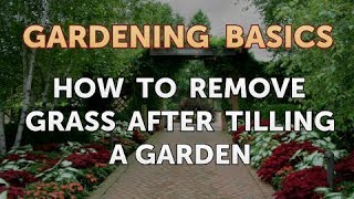 How to Remove Grass After Tilling a Garden [upl. by Manoop]