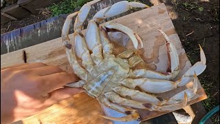 Opening day for Dungeness crab in Bodega Bay California on November 2 2024 catch and cook [upl. by Theadora]