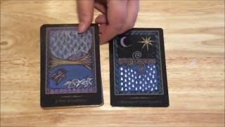 Shamanic Healing Oracle Walkthrough [upl. by Bucher]