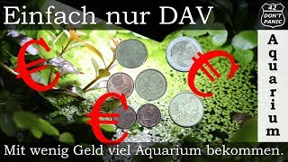 Mit wenig Geld viel Aquarium bekommen Tipps und Anregungen  Einfach nur DAV [upl. by Gittle57]