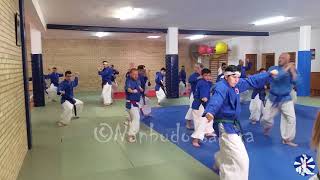 SEIENCHIN NANBUDO Kata Superior DOJO SAKURA HUESCA [upl. by Sanburn]