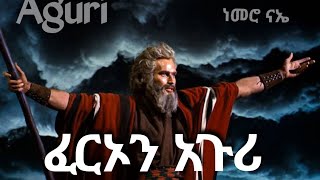 Aguri ፈርኦን አጉሪ ዘማሪ ነመሮ ናኤ Ferion Aguri By Nemero Nae new song lyrics sidama [upl. by Annnora]