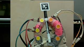 SoftTouch A Sensor Placement Framework for Soft Robotic Hands [upl. by Leanatan]