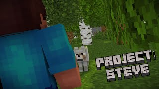 I… Am Steve  ProjectSteve  EP1 MCTV [upl. by Kunkle]