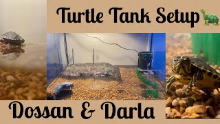 I GOT TWO YELLOW BELLY SLIDER TURTLES amp SET UP THEIR NEW TANK [upl. by Etterraj705]