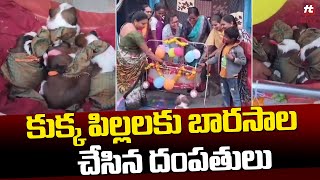 కుక్క పిల్లలకు బారసాల చేసిన దంపతులు  Viarl Video Hittvtelugunews [upl. by Marlea]