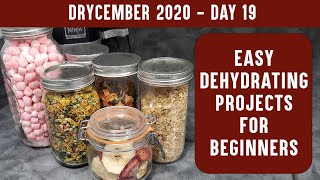 EASY DEHYDRATING PROJECTS FOR BEGINNERS Learn to Dehydrate with Easy Recipes  DRYCEMBER [upl. by Peonir]