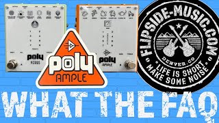 What the FAQ Live  Poly Effects  Ample  56 AllTime Classic AmpsCabs In One Box [upl. by Asilet]