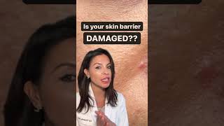 Signs your Skin Barrier is Damaged According to a Dermatologist shorts [upl. by Panaggio]