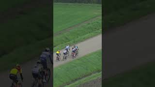 ⚠️WAAIERS💨 Scheldeprijs SP wielrennen [upl. by Ange659]