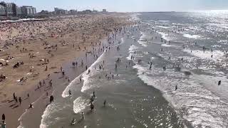 Sea bathing in Scheveningen in The Hauge [upl. by Hammel]