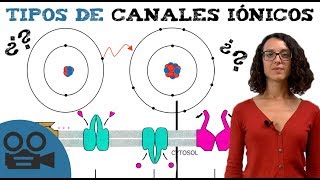 Canales iónicos  Tipos y resumen para estudiar [upl. by Bulley]