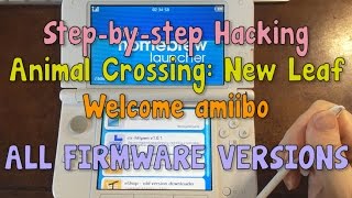 How to Hack ACNL to Edit Your Town 2017  DS VERSIONS UP TO 113 [upl. by Deehan]