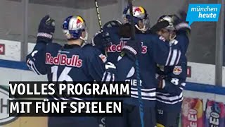 Jahresendspurt – EHC Red Bull München hat volles Programm mit fünf Spielen bis Silvester [upl. by Isacco]