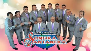 SONORA SANTANERA Exitos Mix 2021 [upl. by Daukas837]