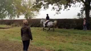 Pony Club XC Rally at Bunkers Hill [upl. by Irollam788]