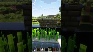 Minecraft EASIEST Sugarcane Farm Tutorial  AFK  120🤩🤩 shorts [upl. by Oicinoid845]