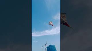 MAKING DIFFERENT STYLE OF KITE USING NEWSPAPER 😍 shorts pkcrazyexperiments [upl. by Mathian]