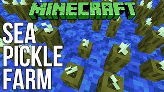 Minecraft 113 Sea Pickle Farm Tutorial [upl. by Anujra941]