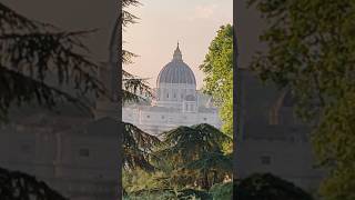 View of St Peters Basilica Church in Vatican City shorts vaticano vatican cittadelvaticano [upl. by Levram]