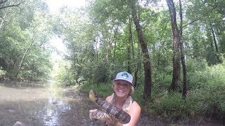 Jay catches BIG Diamondback and gets BIT  Diamondback Watersnake [upl. by Eidaj144]