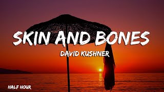 David Kushner  Skin and Bones Official Lyric Video [upl. by Colston358]