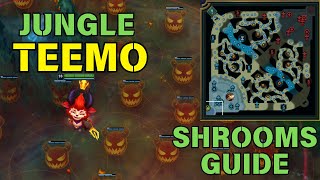 tts Teemo Shrooms Guide Challenger Climb Ask how to jump scare me live in chat scareme [upl. by Nitsirc]