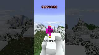 how to make faster horses this video doesnt matter at all cause you can just get an elytra and fly [upl. by Aramahs]