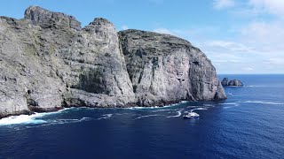 Diving Malpelo with the Ferox July 2022 [upl. by Asum]