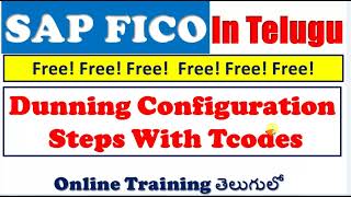 SAP FICo Training In Telugu Dunning Configuration Steps and Tcodes  Dunning Configuration [upl. by Hartzke29]