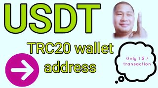 USDT to TRC20 wallet transactions fees [upl. by Ymmit438]