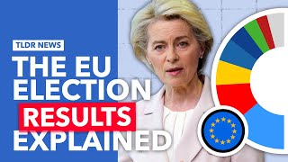 The EU Parliament Election Results Explained [upl. by Ninnette409]