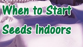 2 Min Tip When to Start Vegetable Seeds Indoors for Spring [upl. by Kidder]