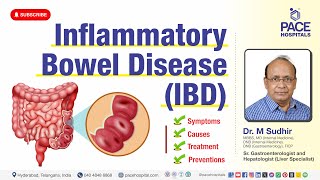 Inflammatory Bowel Disease IBD  Causes Symptoms Treatment and Prevention [upl. by Annaeg505]