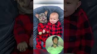 A touching story about a baby and a dog 🥰🥰🥰 pet cat dog cute animals foryou fyp [upl. by Anairt660]