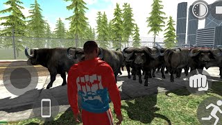 New update 😮 Buffalo Cheat code Indian bike driving3D gaming ।3d gamming New update cheat code [upl. by Adelice839]