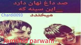 Jamshid parwani dol robab جمشید پروانی دول رباب [upl. by Aneerahs909]