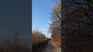 A Beautiful Wind Turbine Stands Tall Along a Serene Pathway Surrounded by Autumns Colors [upl. by Seleta]