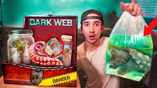 Ordering HAUNTED Live Fish Off The DARK WEB [upl. by Eanehs447]