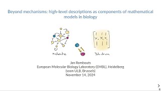 WGGLIMPRINT Seminars Rombouts Coarse Graining of Complex Biological Mechanisms November 14 2024 [upl. by Eimor]