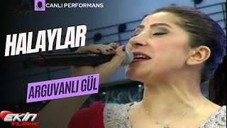 ARGUVANLI GÜL  HALAYLAR türkü türküdinle [upl. by Fauman]