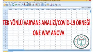 SPSS ile TEK YÖNLÜ VARYANS ANALİZİ ANOVA ONE WAYANOVA [upl. by Lisa896]