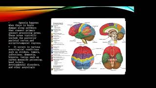 21 The concept of gnosis Types of agnosia their clinical manifestations [upl. by Purington]