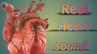 Real heart sound❤❤❤ll physiology heartbiology neet physiology studyknowledgecom [upl. by Charleton]