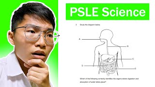 Trying the PSLE 2023 Paper  Science [upl. by Eignat794]