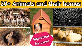 Homes of animals  Animals home name in English  Animals and Birds home name  Animals and houses [upl. by Rojam]