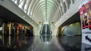 Time Lapse LiegeGuillemins Railway Station Belgium [upl. by Erual615]