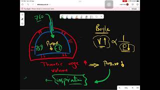 respiratory physiology  mechanics and pressure changes [upl. by Kcirreg]